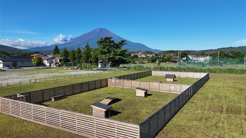 LScamp山中湖の画像